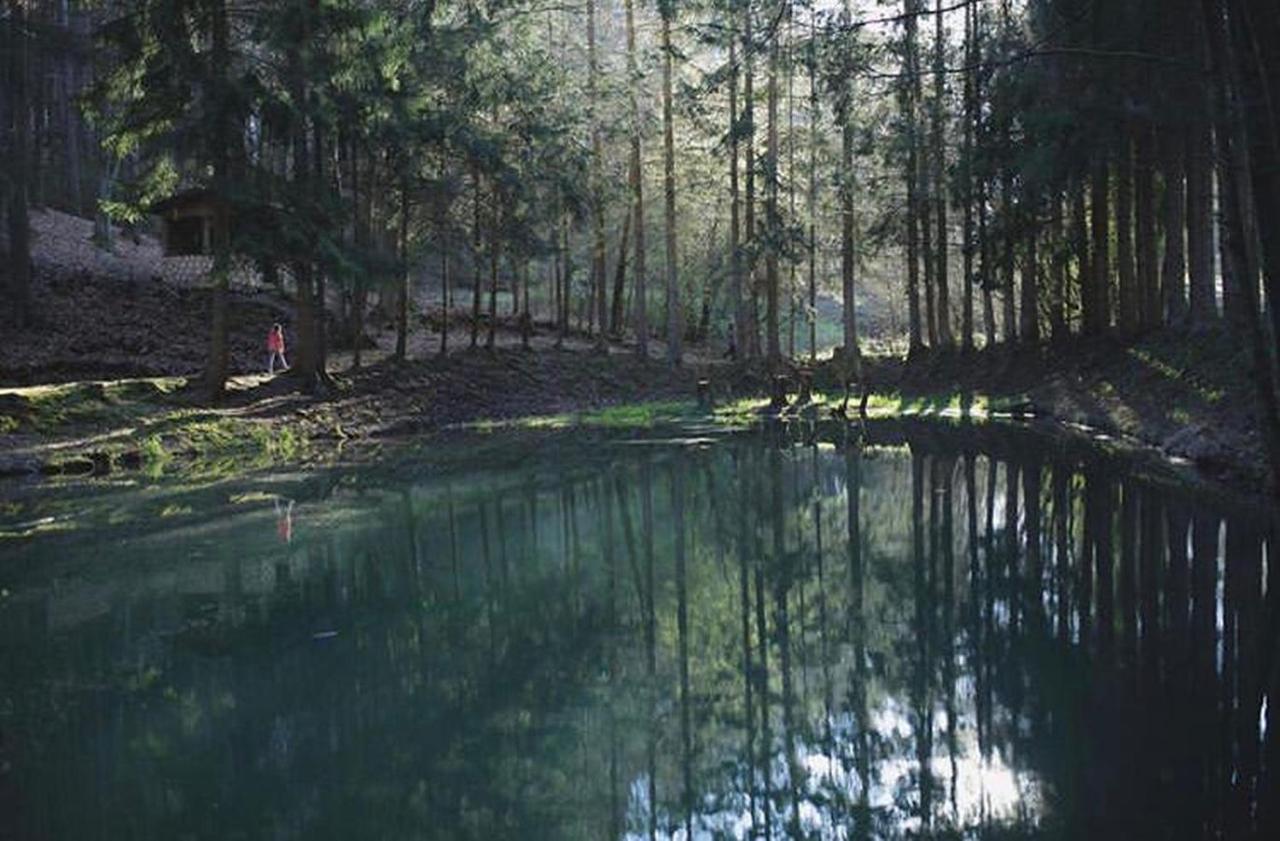 Ferienhaus "Schmetterling" Am See Im Bergland Кірхгайм Екстер'єр фото